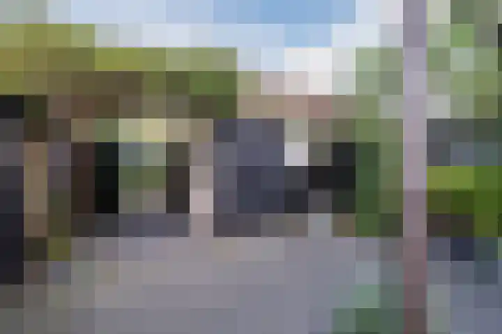 Dotterbloem 14 Bodegraven thumbnail 47