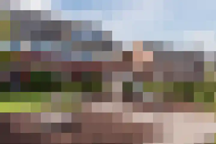 Dotterbloem 14 Bodegraven thumbnail 49