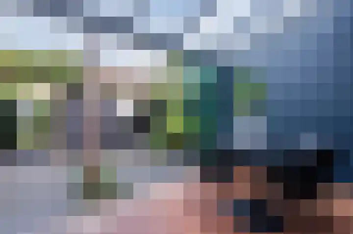 Dotterbloem 14 Bodegraven thumbnail 5