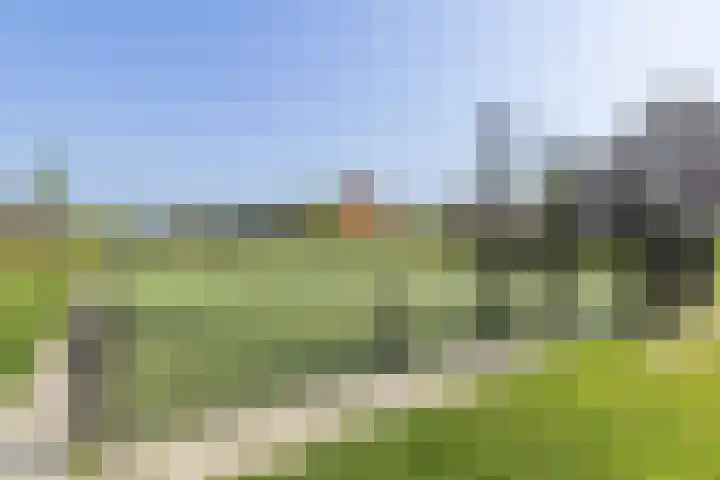 Dotterbloem 14 Bodegraven thumbnail 50