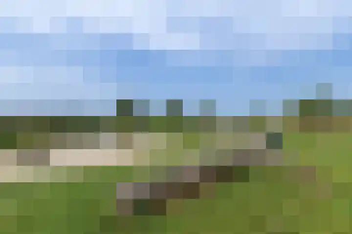 Dotterbloem 14 Bodegraven thumbnail 51