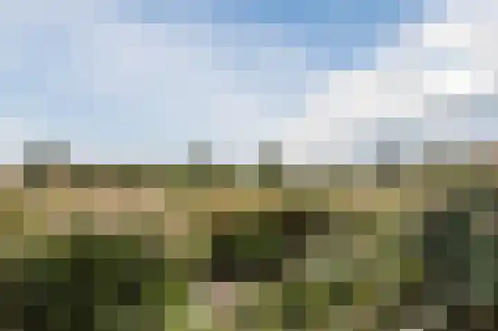 Dotterbloem 14 Bodegraven thumbnail 53