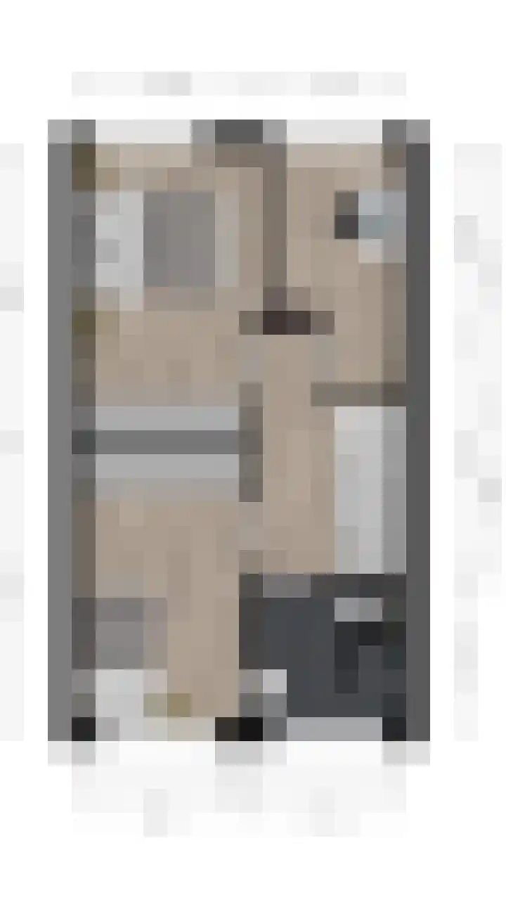 Dotterbloem 14 Bodegraven thumbnail 55