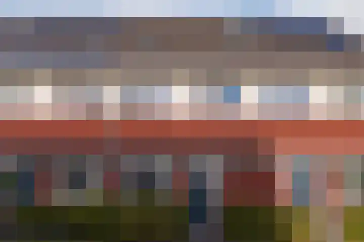 Dotterbloem 14 Bodegraven thumbnail 6