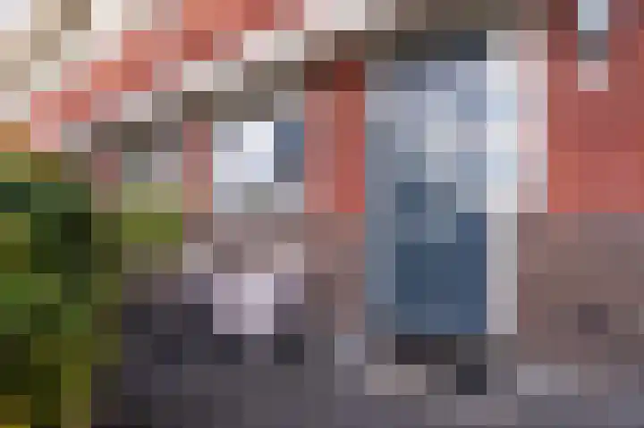 Dotterbloem 14 Bodegraven thumbnail 7