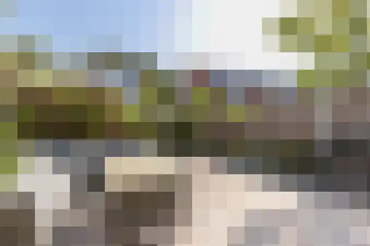 Dotterbloem 14 Oude Wetering thumbnail 20