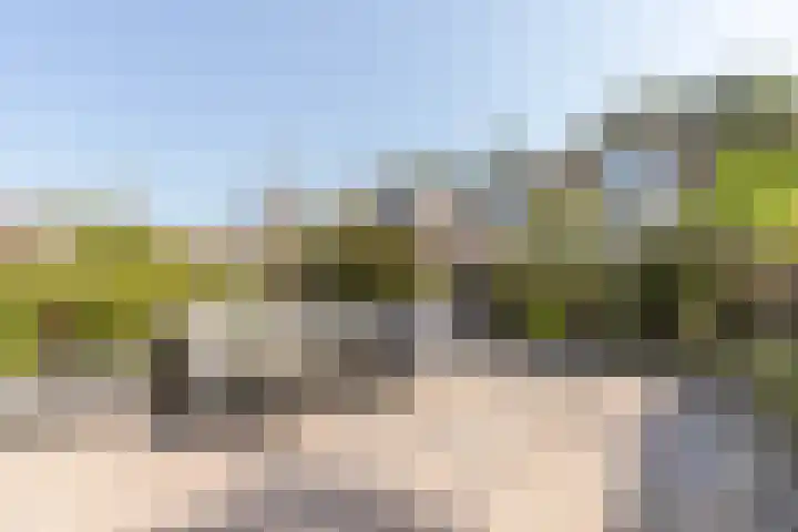 Dotterbloem 14 Oude Wetering thumbnail 22