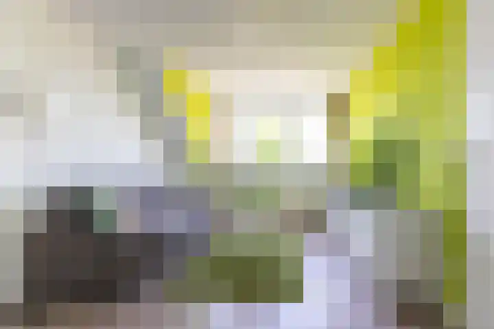 Dotterbloem 14 Oude Wetering thumbnail 36