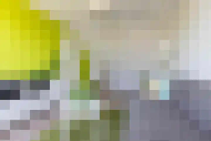 Dotterbloem 14 Oude Wetering thumbnail 37