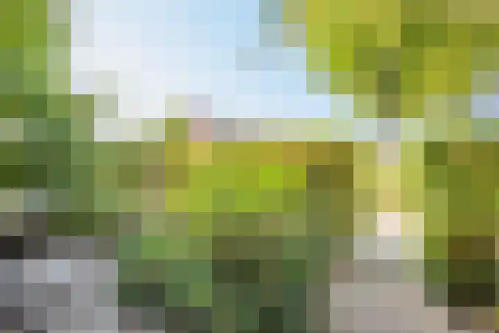 Dotterbloem 14 Oude Wetering thumbnail 38