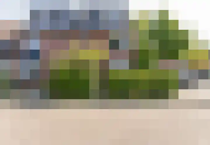 Dotterbloem 14 Oude Wetering thumbnail 6