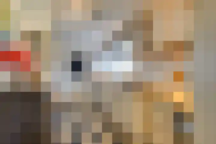 Dotterbloem 17 Leiden thumbnail 14