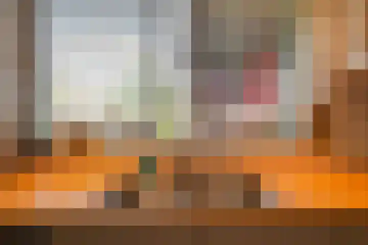 Dotterbloem 17 Leiden thumbnail 16
