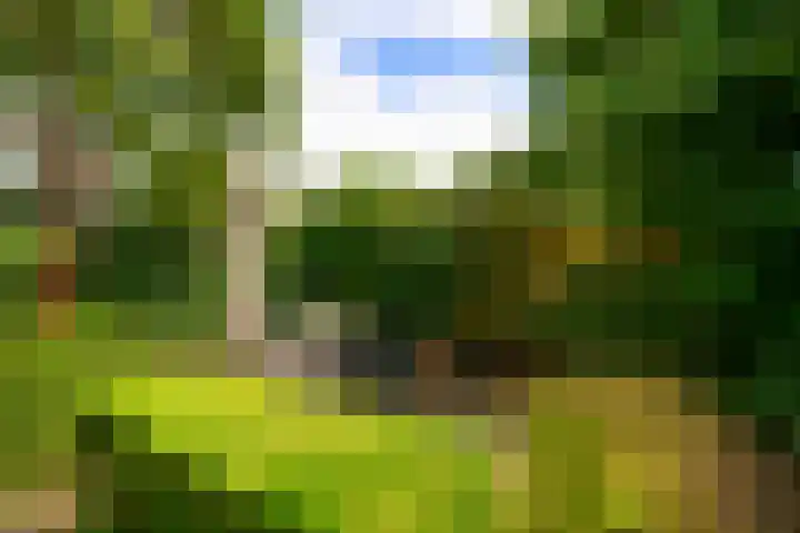 Dotterbloem 17 Leiden thumbnail 21