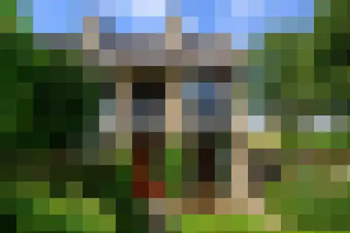 Dotterbloem 17 Leiden thumbnail 22