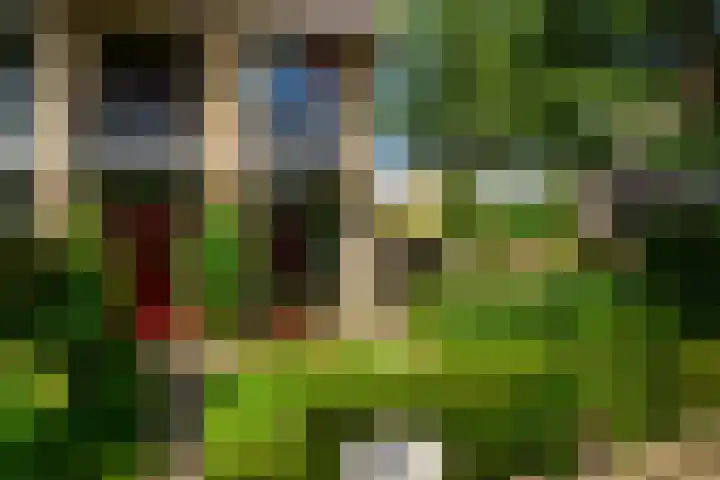 Dotterbloem 17 Leiden thumbnail 23