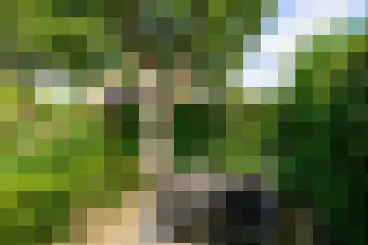 Dotterbloem 17 Leiden thumbnail 24