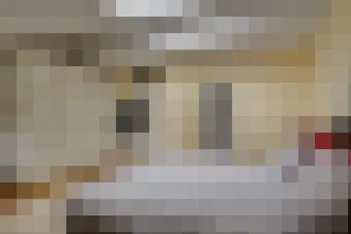 Dotterbloem 17 Leiden thumbnail 32