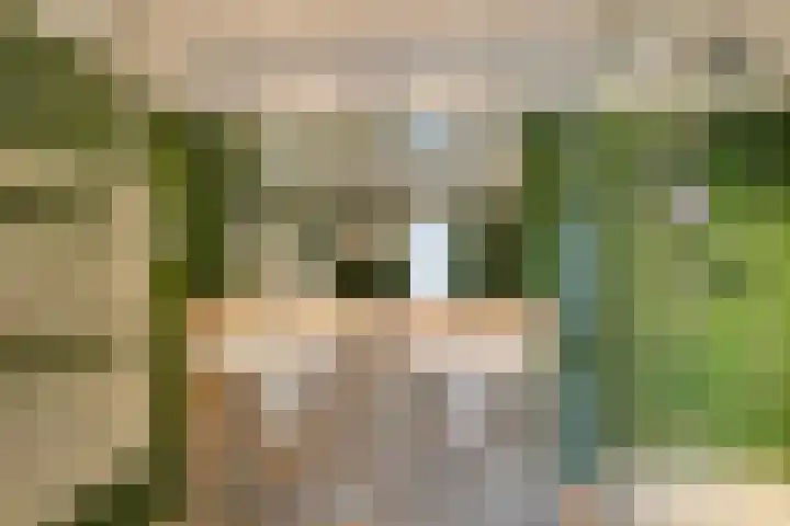 Dotterbloem 17 Leiden thumbnail 34