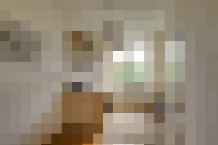 Dotterbloem 17 Leiden thumbnail 36