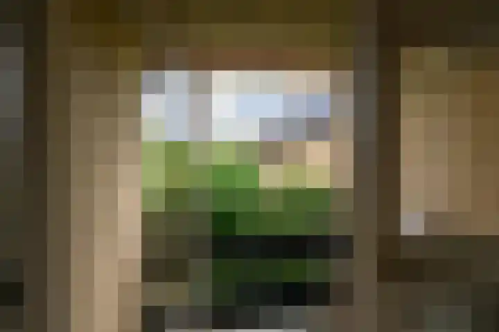 Dotterbloem 17 Leiden thumbnail 41
