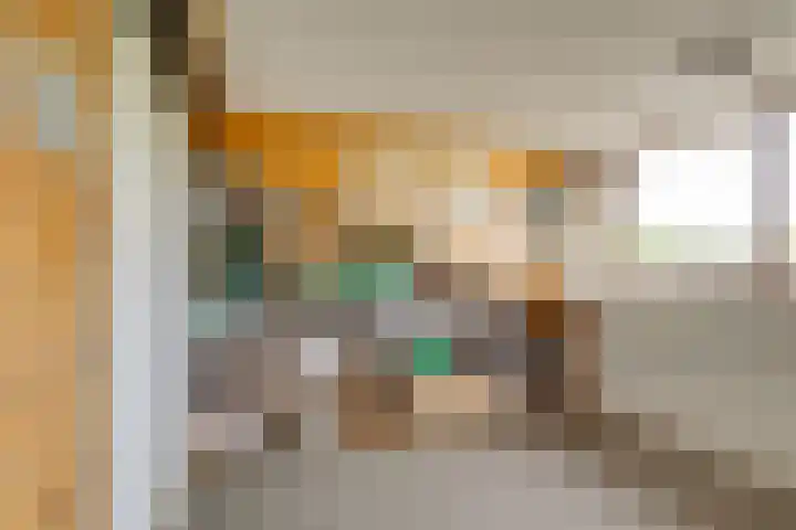 Dotterbloem 17 Leiden thumbnail 45