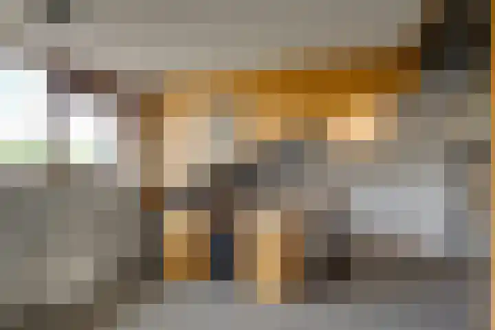 Dotterbloem 17 Leiden thumbnail 46