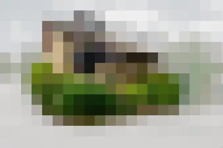 Dotterbloem 17 Leiden thumbnail 52
