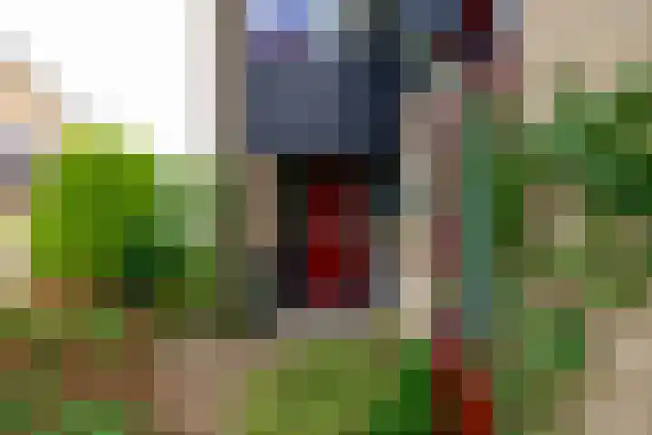 Dotterbloem 17 Leiden thumbnail 6
