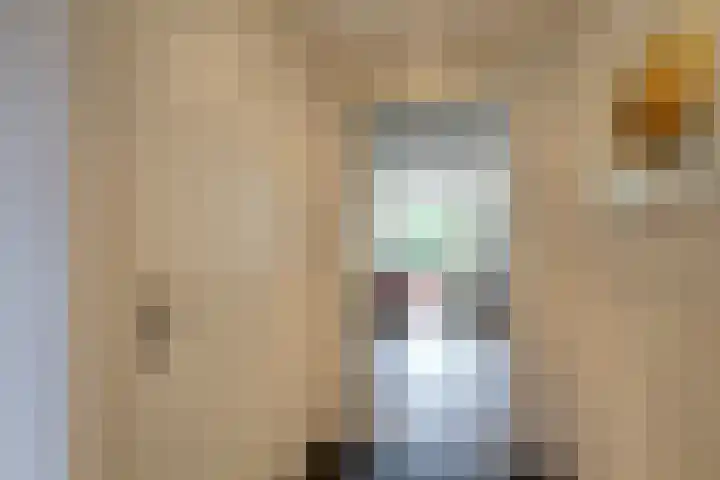 Dotterbloem 17 Leiden thumbnail 9