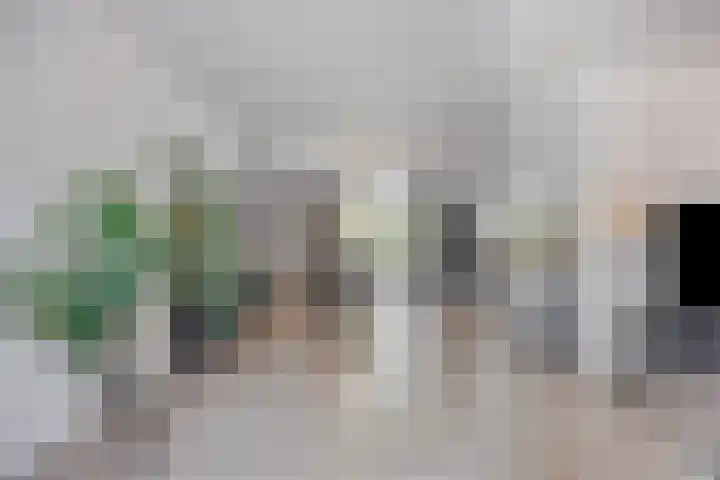 Dotterbloem 26 Schaijk thumbnail 14