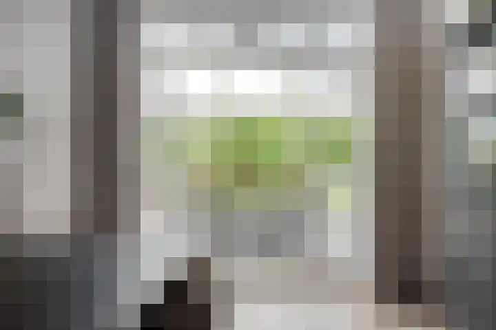 Dotterbloem 26 Schaijk thumbnail 19
