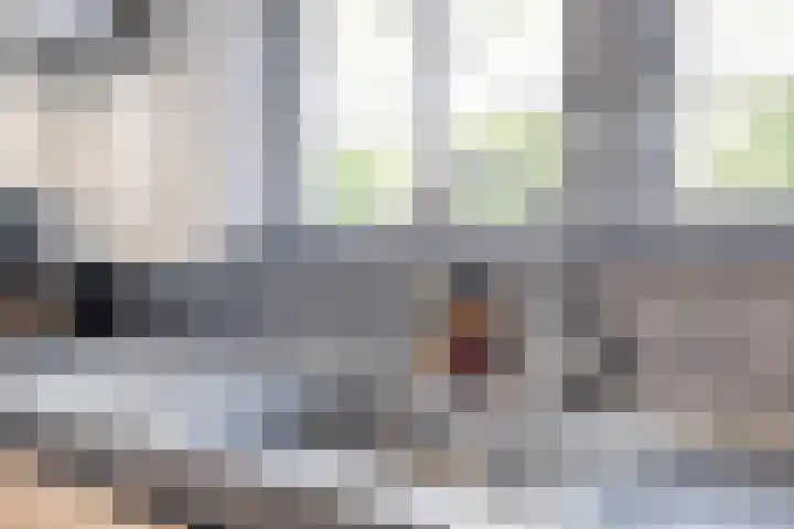 Dotterbloem 26 Schaijk thumbnail 23