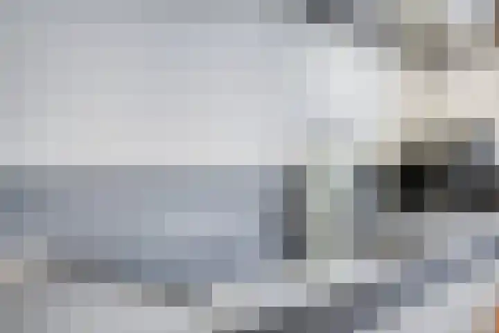 Dotterbloem 26 Schaijk thumbnail 24