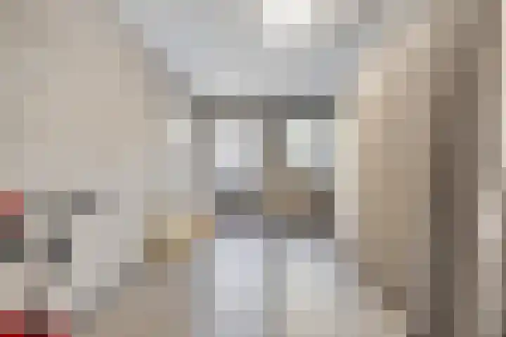 Dotterbloem 26 Schaijk thumbnail 28