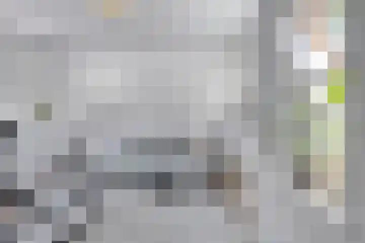 Dotterbloem 26 Schaijk thumbnail 38