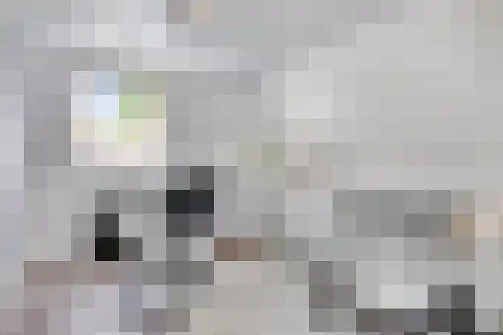 Dotterbloem 26 Schaijk thumbnail 39