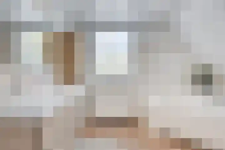 Dotterbloem 26 Schaijk thumbnail 4
