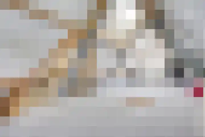 Dotterbloem 26 Schaijk thumbnail 41