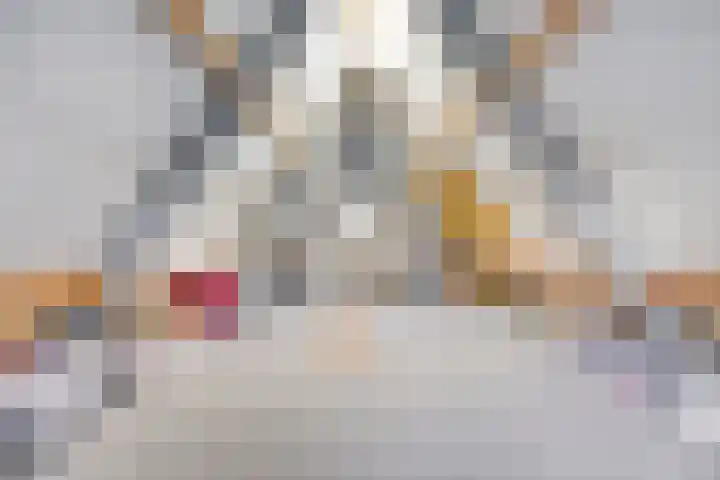 Dotterbloem 26 Schaijk thumbnail 42
