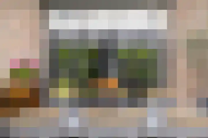 Dotterbloem 26 Schaijk thumbnail 46