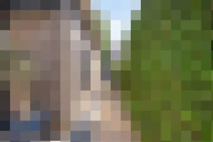 Dotterbloem 26 Schaijk thumbnail 50