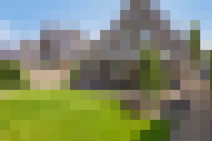 Dotterbloem 26 Schaijk thumbnail 51
