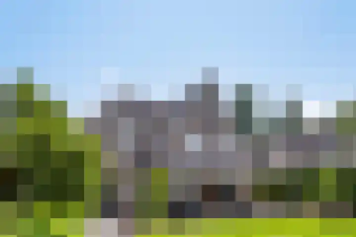 Dotterbloem 26 Schaijk thumbnail 53