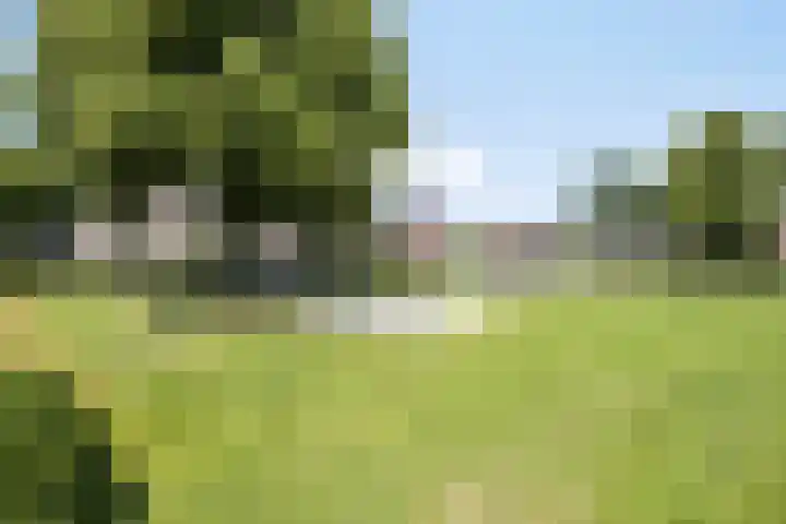 Dotterbloem 26 Schaijk thumbnail 59