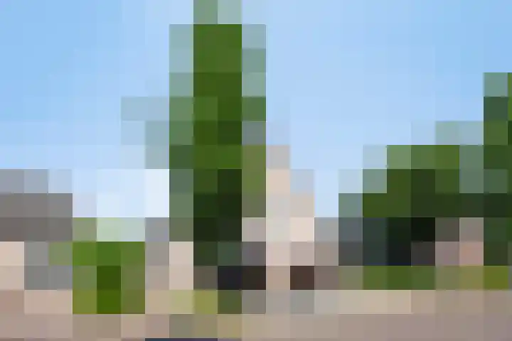 Dotterbloem 26 Schaijk thumbnail 69