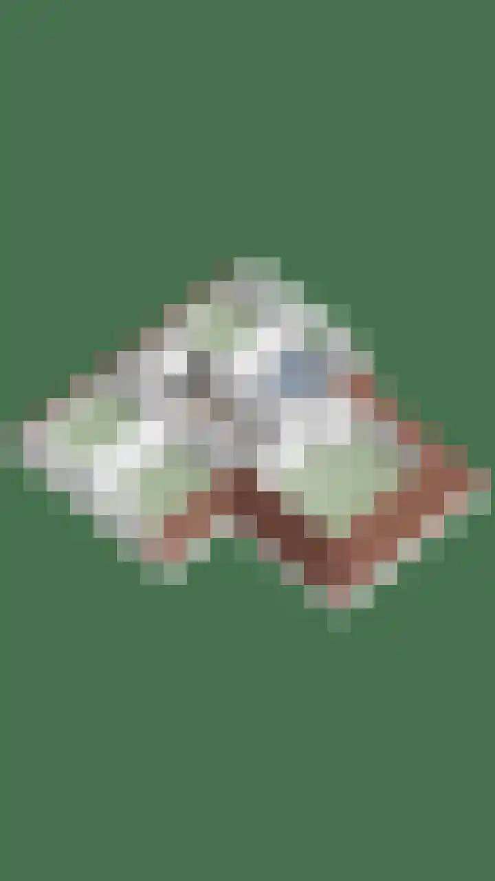 Dotterbloem 26 Schaijk thumbnail 75