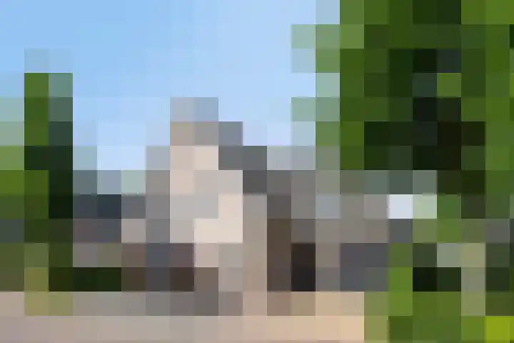Dotterbloem 26 Schaijk thumbnail 79