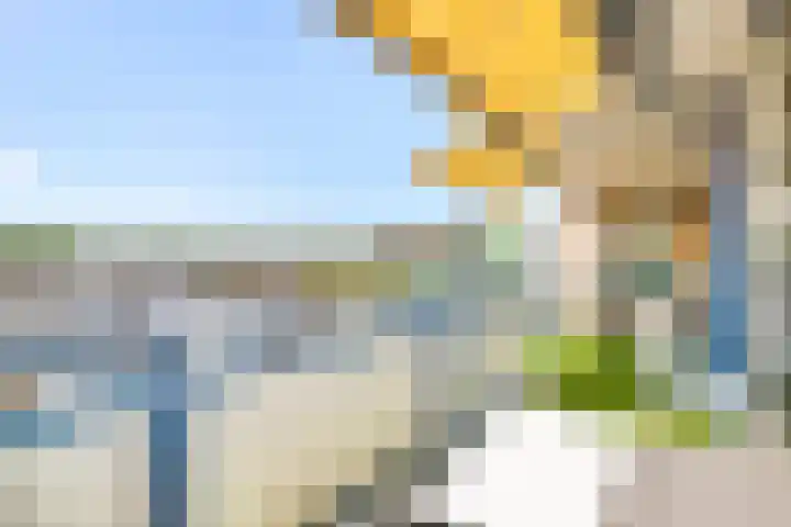 Dotterbloem 6 Velserbroek thumbnail 34