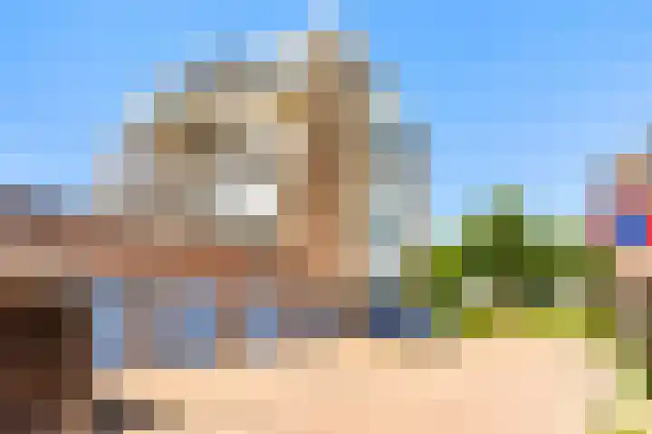 Dotterbloem 6 Velserbroek thumbnail 8